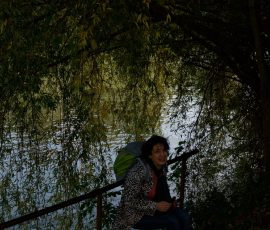 DSC_2338_DxO